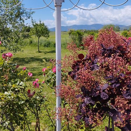 La Verdine Verin Bagian luar foto
