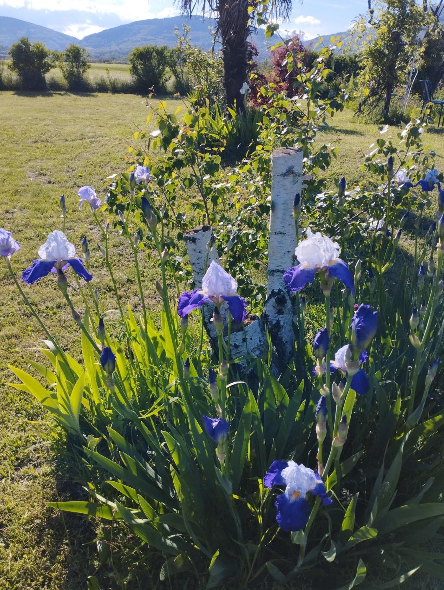 La Verdine Verin Bagian luar foto