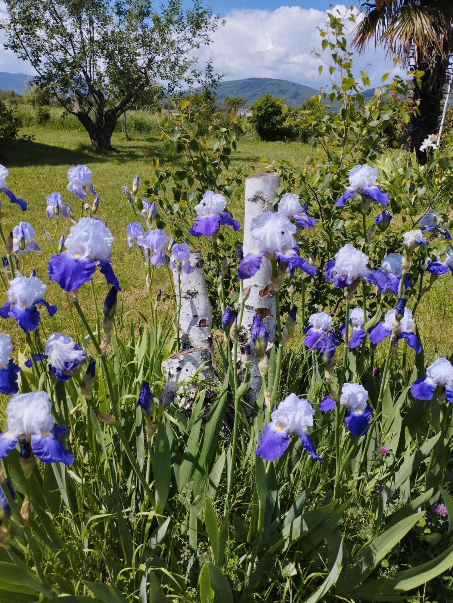 La Verdine Verin Bagian luar foto